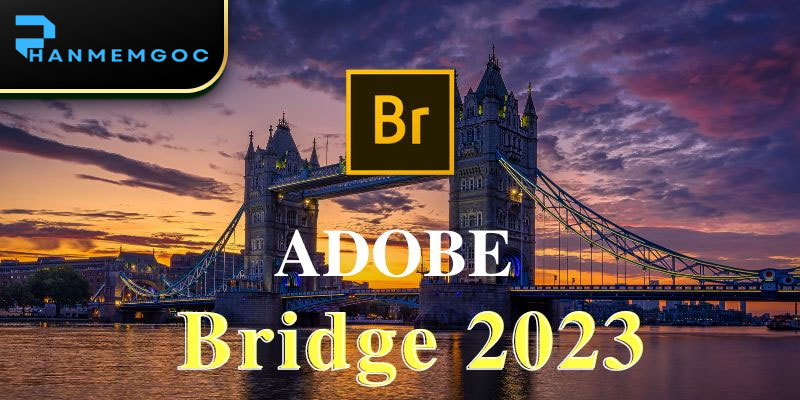 Download Adobe Bridge 2023: Cài Đặt & Hướng Dẫn Chi Tiết
