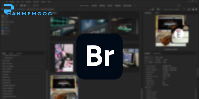 Download Adobe Bridge 2022 – Hướng Dẫn Đầy Đủ
