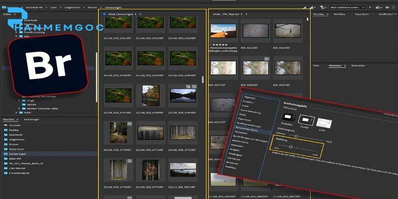 Download Adobe Bridge 2022 – Hướng Dẫn Đầy Đủ