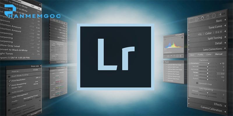 Adobe Photoshop Lightroom: Hướng Dẫn Toàn Diện 2025
