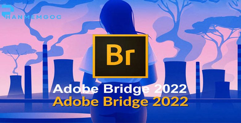 Download Adobe Bridge 2022 – Hướng Dẫn Đầy Đủ