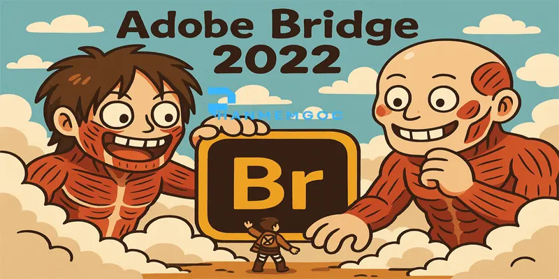 Adobe Bridge 2022 là gì? Cách tải nhanh nhất?