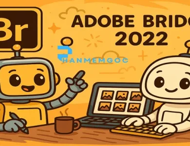 Adobe Bridge 2022 là gì? Cách tải nhanh nhất?