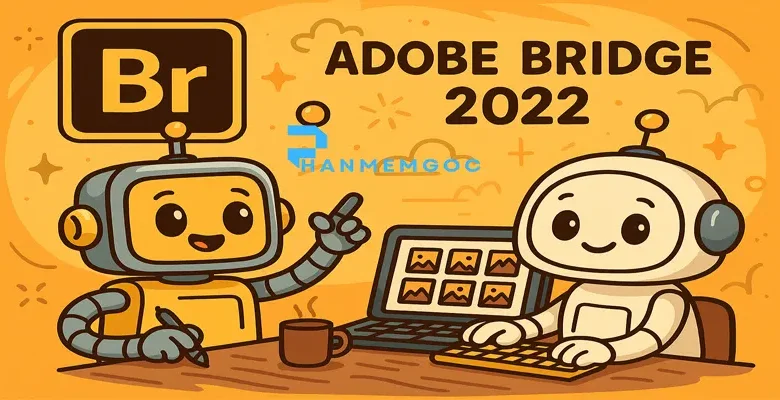 Adobe Bridge 2022 là gì? Cách tải nhanh nhất?