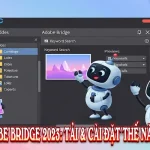 Adobe Bridge 2023: Tải & Cài đặt thế nào?
