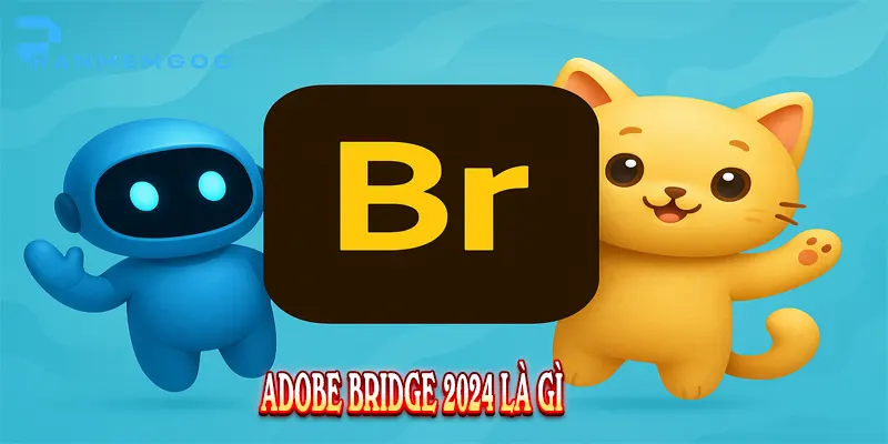 Tải Adobe Bridge 2024: Hướng dẫn từ A-Z mới nhất