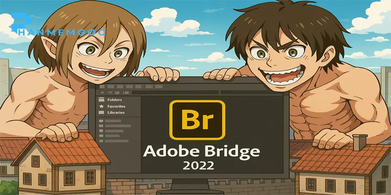 Adobe Bridge 2022 là gì? Cách tải nhanh nhất?