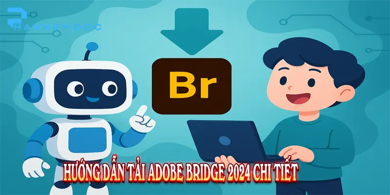 Tải Adobe Bridge 2024: Hướng dẫn từ A-Z mới nhất