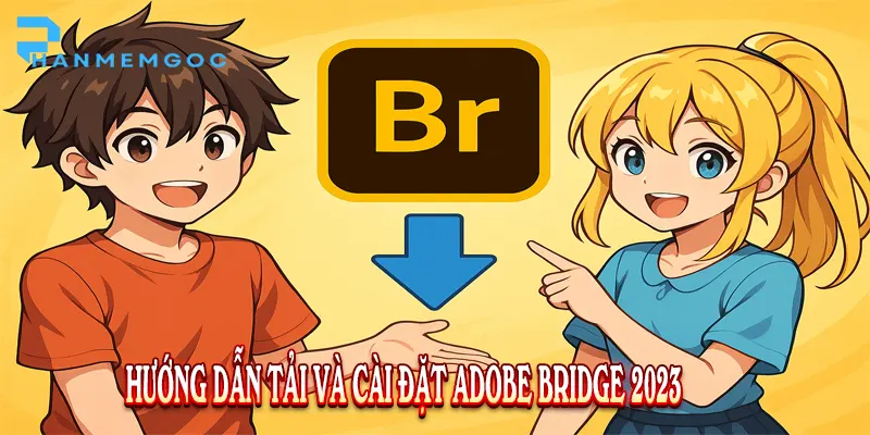 Adobe Bridge 2023: Tải & Cài đặt thế nào?