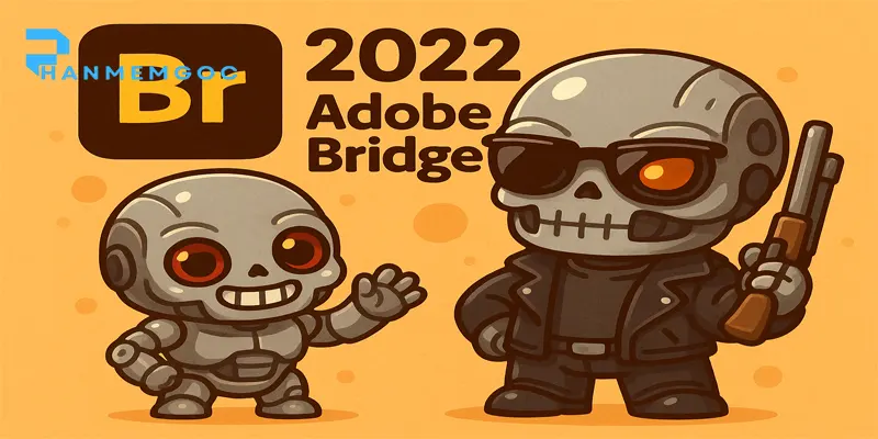 Adobe Bridge 2022 là gì? Cách tải nhanh nhất?